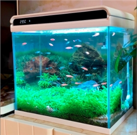 上海物流货运公司 上海物流货运公司