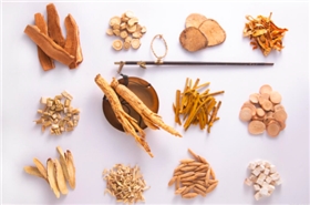 上海物流货运公司 上海物流货运公司