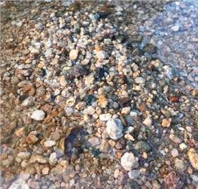 上海物流货运公司 上海物流货运公司