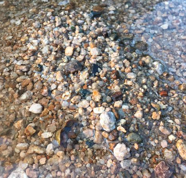 上海物流货运公司 上海物流货运公司